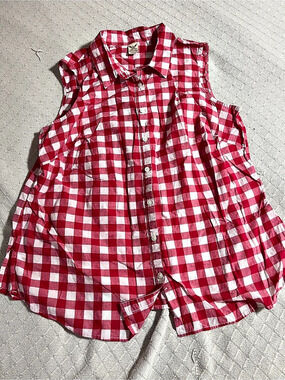 Faded Glory Women’s size 2X Plus Red/White Gingham Sleeveless Button Front